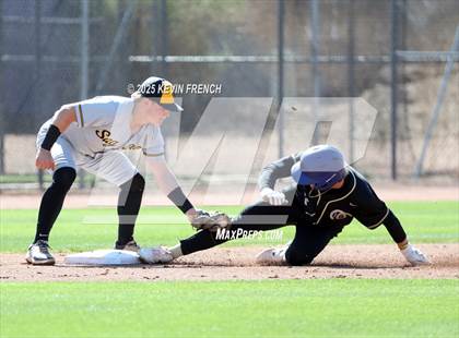 Thumbnail 1 in O'Connor vs. Saguaro photogallery.
