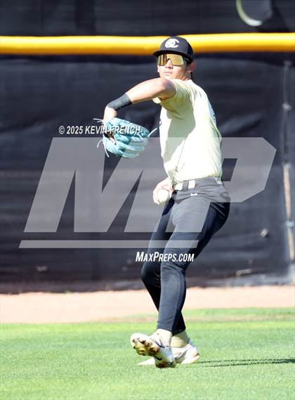 Thumbnail 3 in O'Connor vs. Saguaro photogallery.