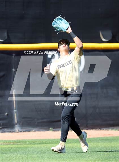 Thumbnail 1 in O'Connor vs. Saguaro photogallery.