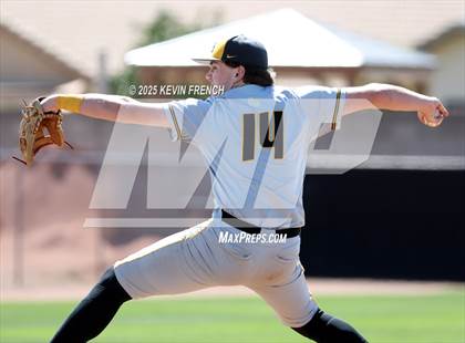Thumbnail 1 in O'Connor vs. Saguaro photogallery.