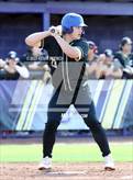 Photo from the gallery "O'Connor vs. Saguaro"