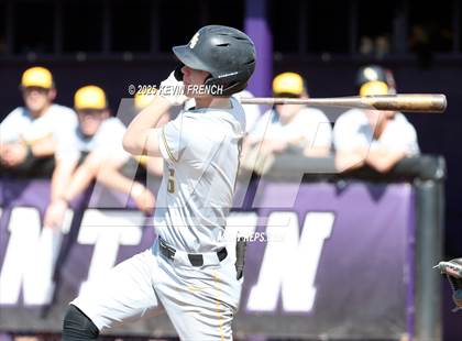 Thumbnail 2 in O'Connor vs. Saguaro photogallery.