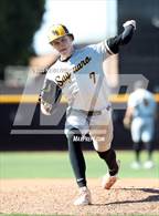 Photo from the gallery "O'Connor vs. Saguaro"