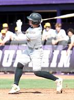 Photo from the gallery "O'Connor vs. Saguaro"