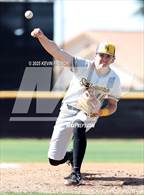 Photo from the gallery "O'Connor vs. Saguaro"