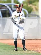 Photo from the gallery "O'Connor vs. Saguaro"