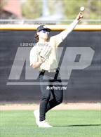 Photo from the gallery "O'Connor vs. Saguaro"