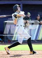 Photo from the gallery "O'Connor vs. Saguaro"