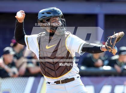 Thumbnail 2 in O'Connor vs. Saguaro photogallery.