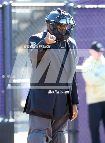 Thumbnail 3 in O'Connor vs. Saguaro photogallery.
