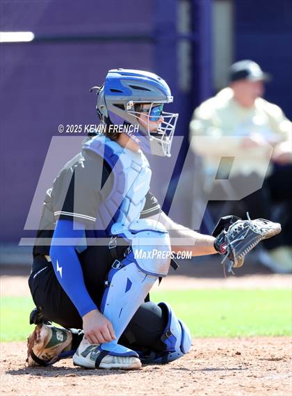 Thumbnail 3 in O'Connor vs. Saguaro photogallery.