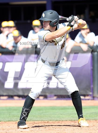 Thumbnail 3 in O'Connor vs. Saguaro photogallery.