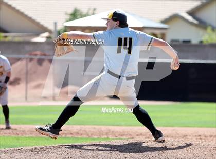 Thumbnail 1 in O'Connor vs. Saguaro photogallery.