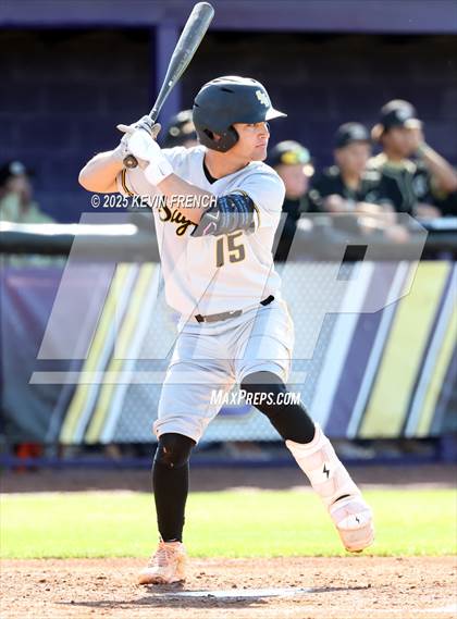 Thumbnail 1 in O'Connor vs. Saguaro photogallery.