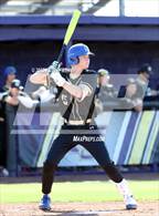 Photo from the gallery "O'Connor vs. Saguaro"