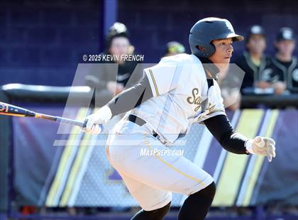 Thumbnail 1 in O'Connor vs. Saguaro photogallery.