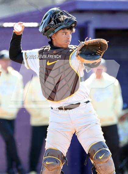 Thumbnail 1 in O'Connor vs. Saguaro photogallery.