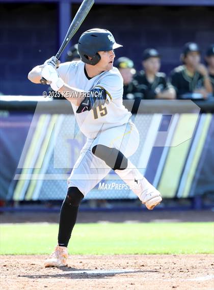 Thumbnail 3 in O'Connor vs. Saguaro photogallery.