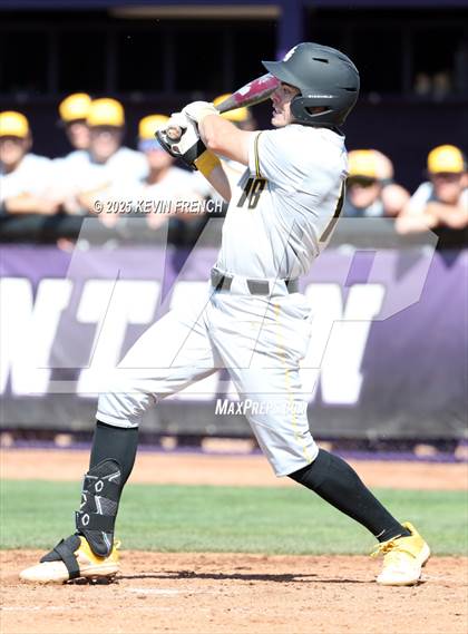 Thumbnail 1 in O'Connor vs. Saguaro photogallery.