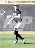 Photo from the gallery "O'Connor vs. Saguaro"