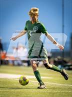 Photo from the gallery "Widefield @ Falcon"