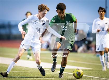 Thumbnail 2 in Widefield @ Falcon photogallery.