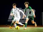 Photo from the gallery "Widefield @ Falcon"