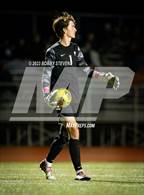 Photo from the gallery "Widefield @ Falcon"