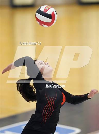 null - Photo 41