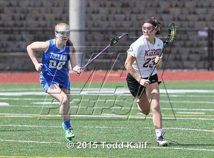 Thumbnail 2 in Tolland @ Canton photogallery.