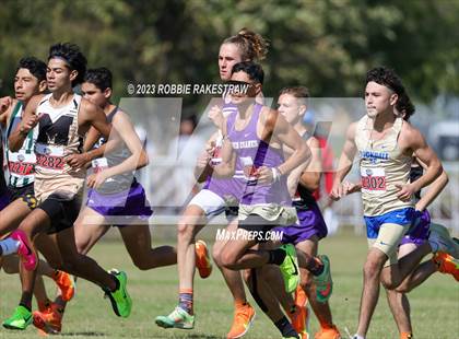 Thumbnail 1 in UIL Cross Country 3A Finals (5K) photogallery.