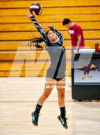 Photo from the gallery "Cordova @ Laguna Creek"