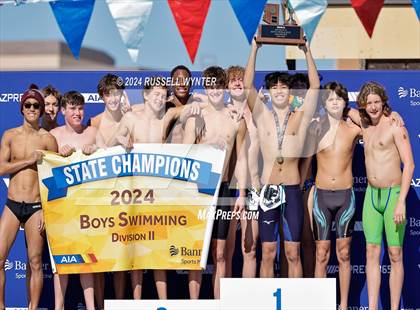 Thumbnail 3 in AIA Division 2 Finals photogallery.