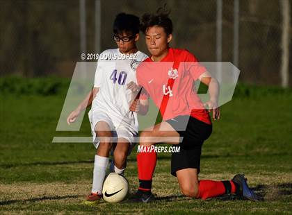 Thumbnail 3 in FR: Ayala photogallery.