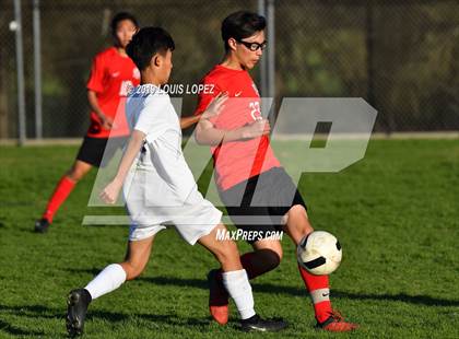 Thumbnail 3 in FR: Ayala photogallery.