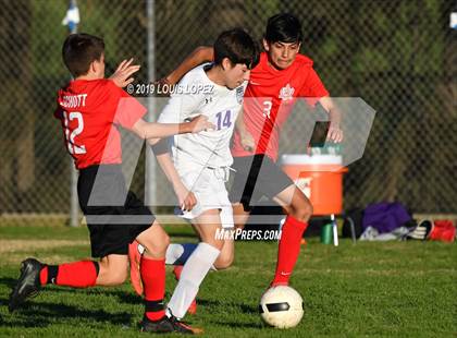 Thumbnail 2 in FR: Ayala photogallery.