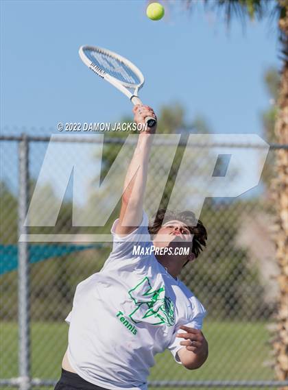 Thumbnail 2 in Moapa @ Virgin Valley photogallery.
