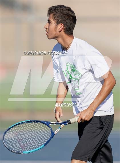 Thumbnail 3 in Moapa @ Virgin Valley photogallery.