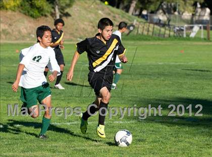 Thumbnail 3 in Ventura @ Santa Barbara photogallery.