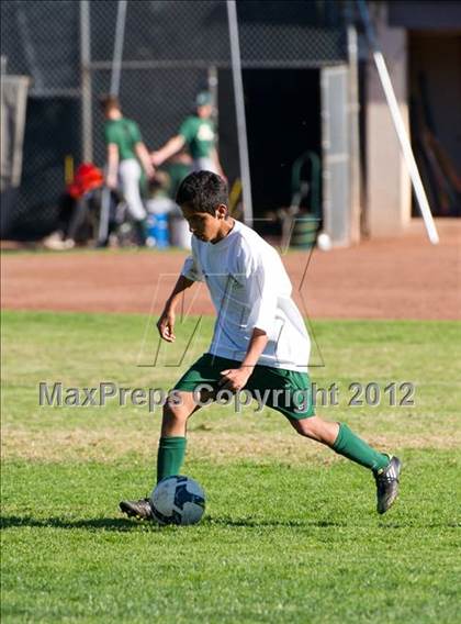 Thumbnail 3 in Ventura @ Santa Barbara photogallery.