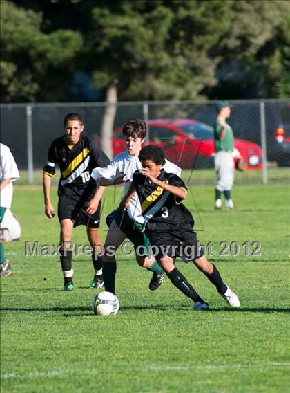 Thumbnail 3 in Ventura @ Santa Barbara photogallery.