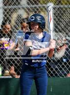 Photo from the gallery "Carlmont @ San Mateo"