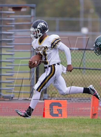 Thumbnail 1 in Sachem North @ William Floyd photogallery.