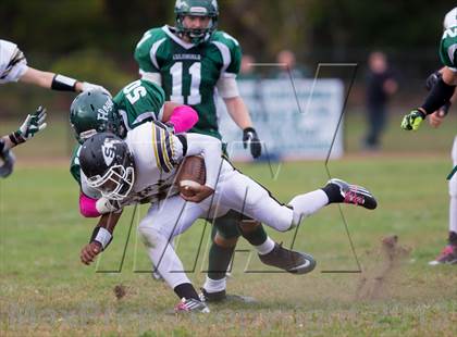 Thumbnail 1 in Sachem North @ William Floyd photogallery.
