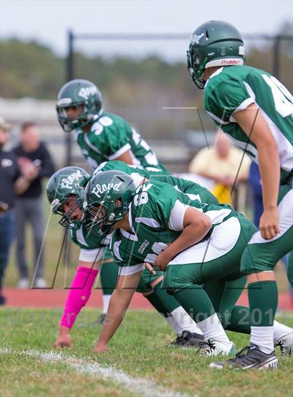 Thumbnail 3 in Sachem North @ William Floyd photogallery.