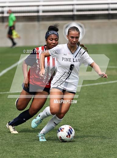 null - Photo 01