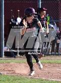 Photo from the gallery "Foran @ North Haven"