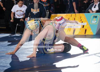 Thumbnail 3 in CIF State Girls Wrestling Championships (Semifinal) photogallery.