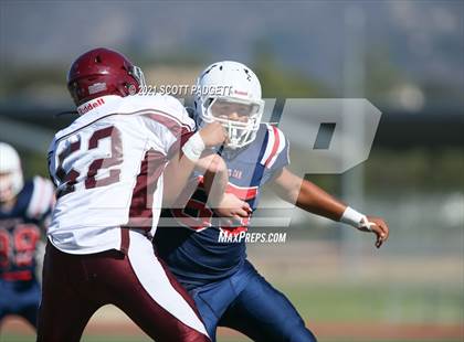 Thumbnail 3 in Fr: Great Oak @ Paloma Valley photogallery.
