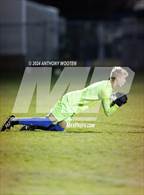 Photo from the gallery "Berean Baptist Academy @ Fayetteville Christian"